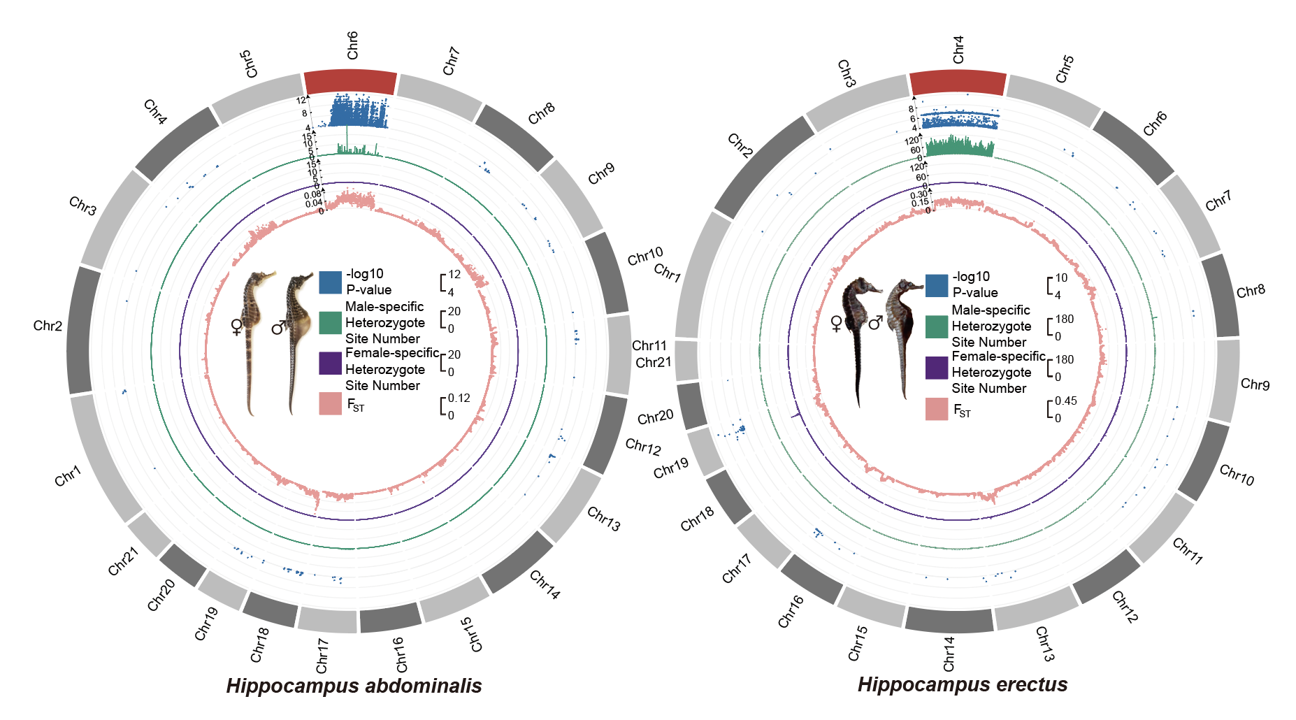 Molecular Biology And Evolution Molecular Biology And Evolution